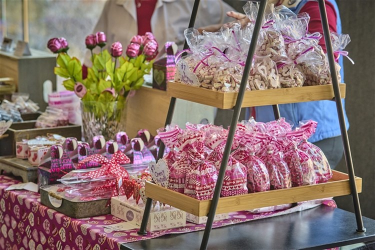 Sweet Escape at the Chocolate Expo