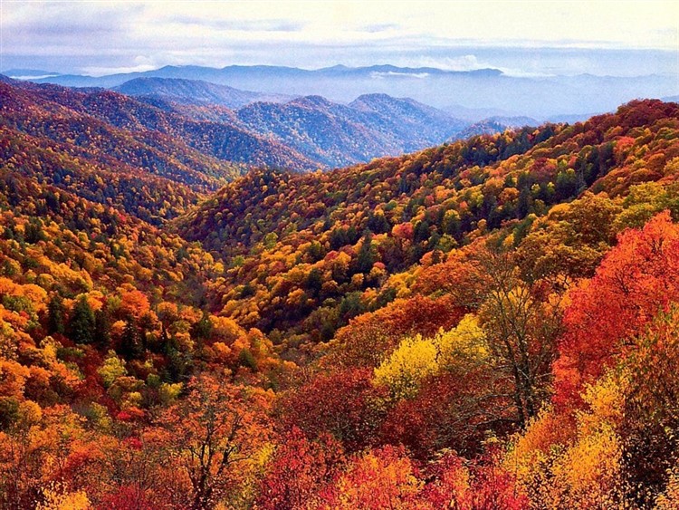 Smoky Mountain Autumn Adventure