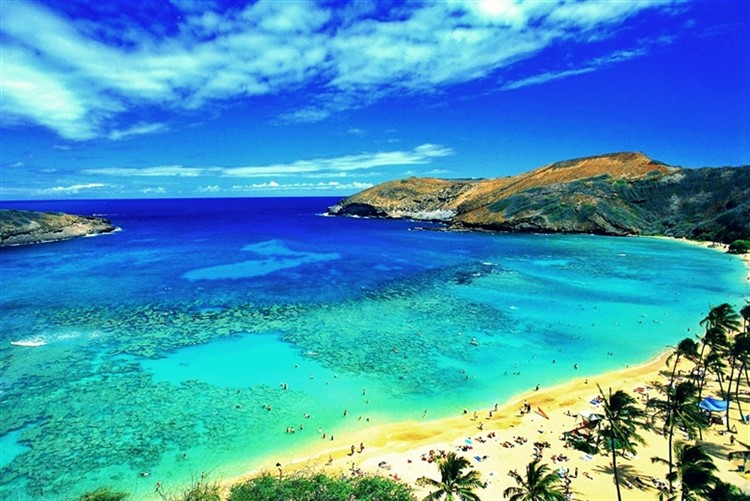 Hawaiian Adventure 2025